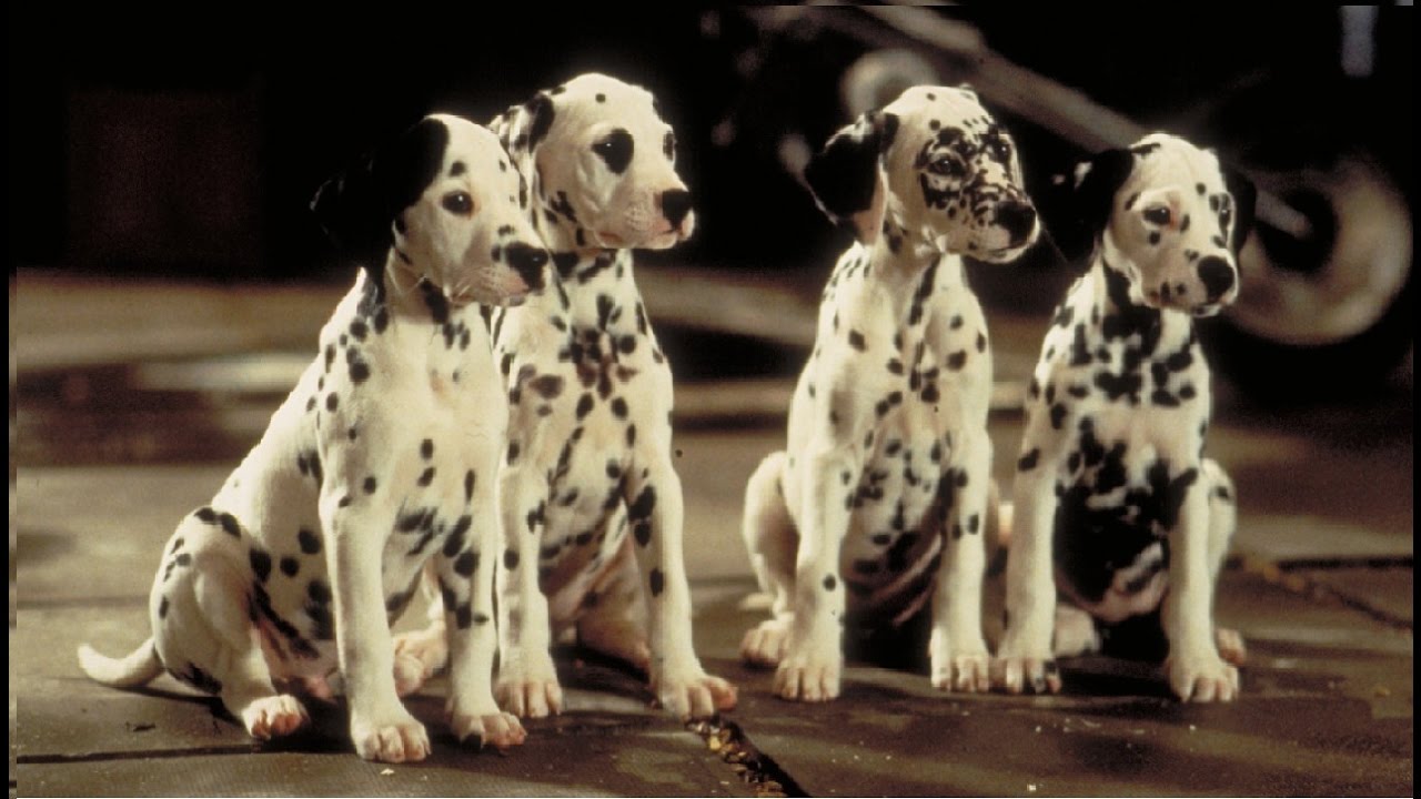 101 Dalmations