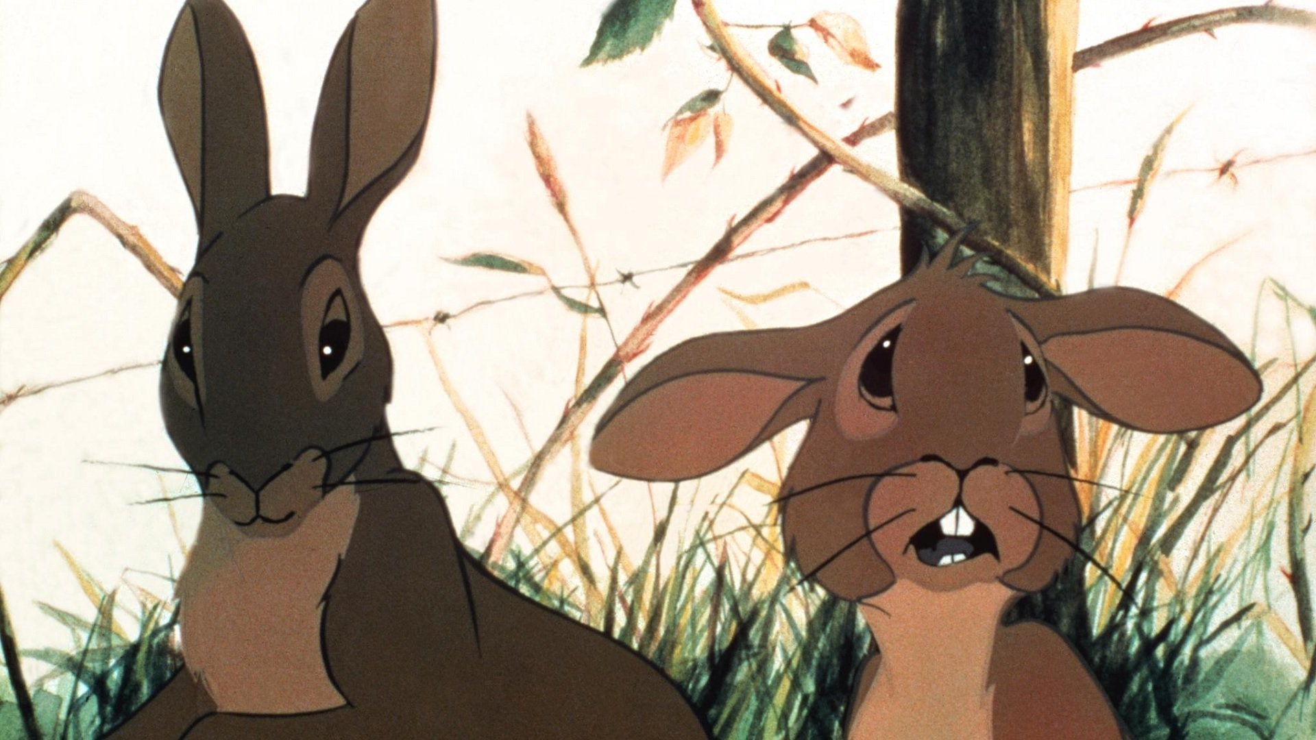 Watership Down