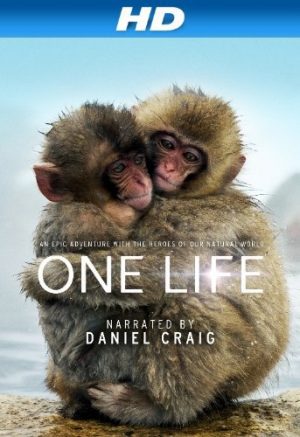 One Life poster