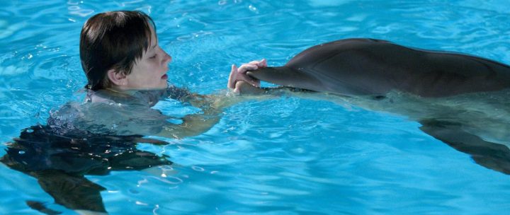 Dolphin Tale 