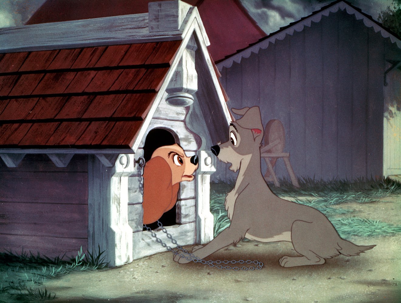 Lady And The Tramp