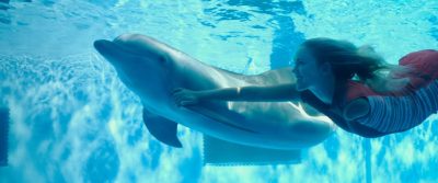 Dolphin Tale 2