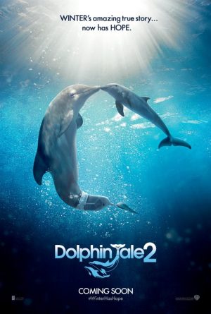 Dolphin Tale 2