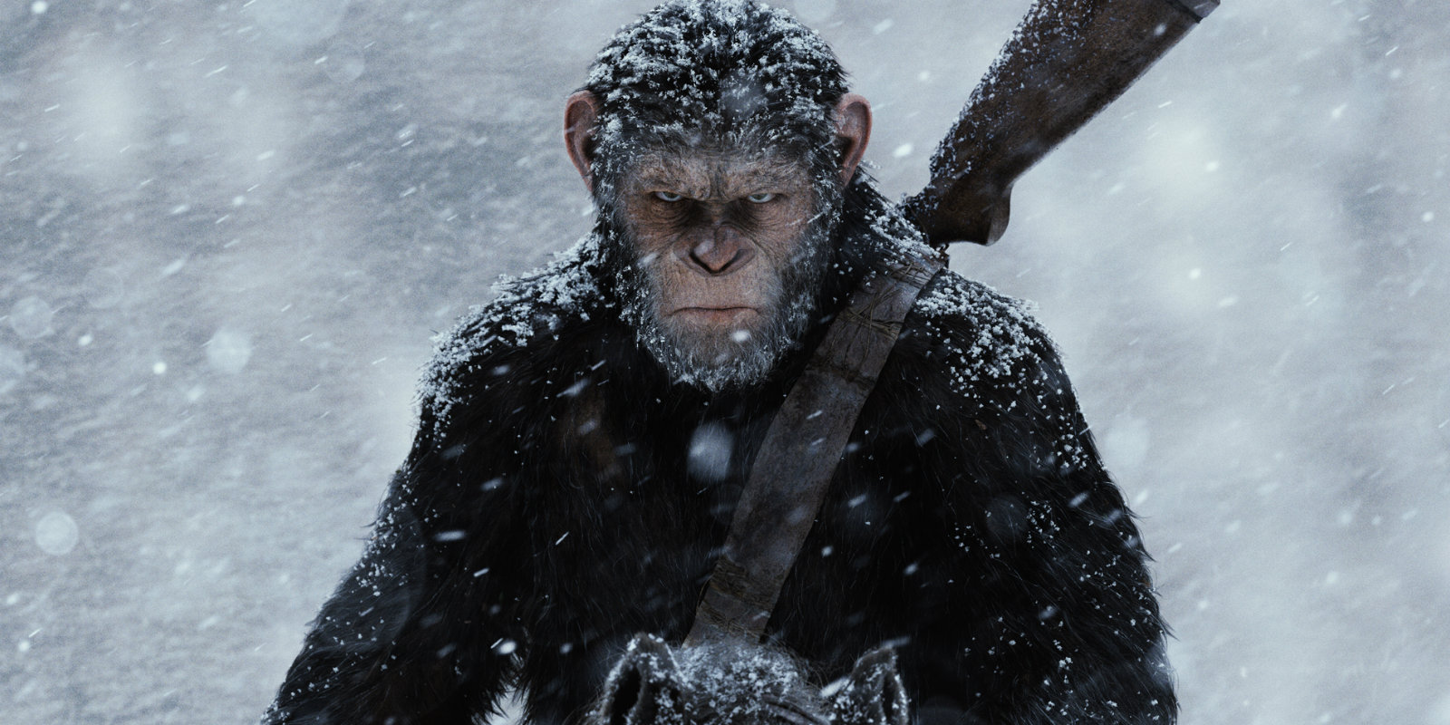 War For The Planet Of The Apes