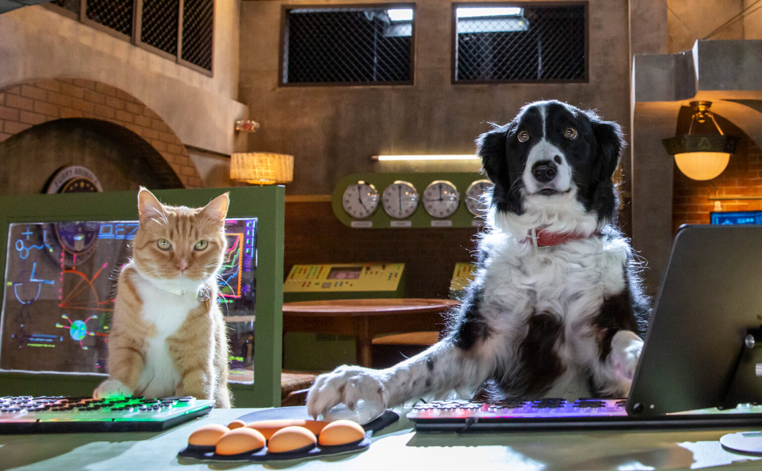 Cats & Dogs 3 Paws Unite! review Movies For Kids